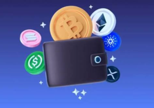 How Cryptocurrency Wallets Work